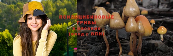 соль курить ск Липки