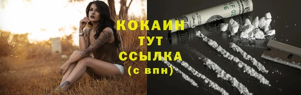 соль курить ск Липки