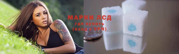 индика Магас