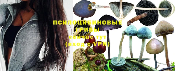 соль курить ск Липки