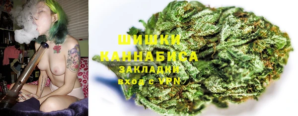 молекула духа Лихославль