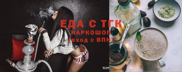 индика Магас