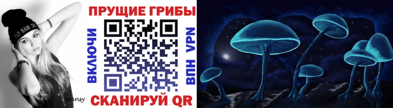 Псилоцибиновые грибы Cubensis  Купить закладки  Терек 